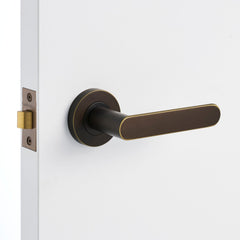 Aged Brass Passage Set Installed on a door