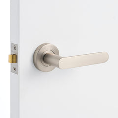 Brushed Nickel Door Handle Installed on a Door
