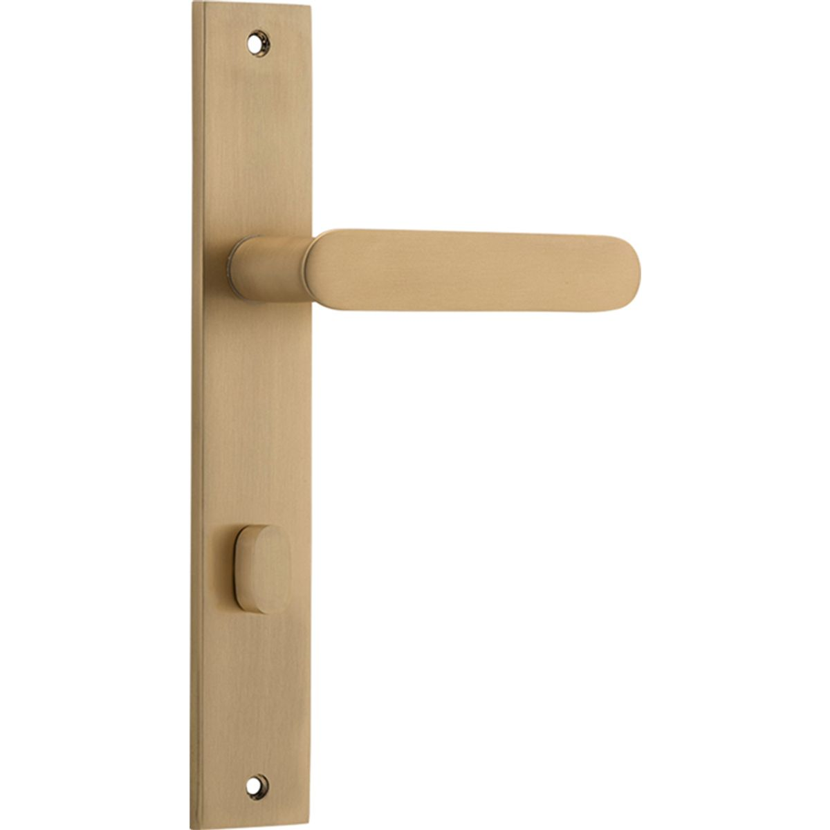 Bronte Lever on Rectangular Backplate